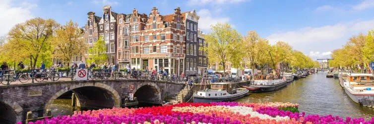 La ruta perfecta para visitar los Países Bajos